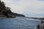 resIMG_20170710_141942_8427.JPG